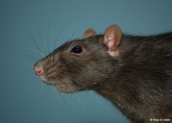 DSC_0094.jpg