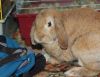 DSC_0207.jpg
